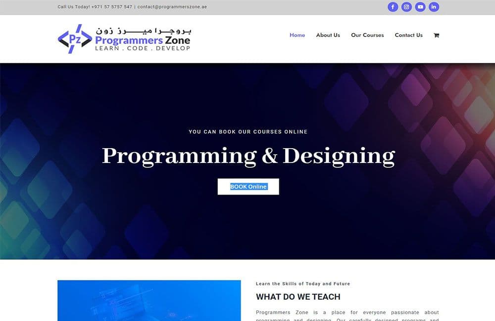 لقطة شاشة لموقع Programmers Zone الإلكتروني